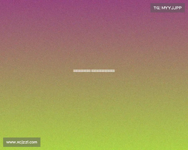 德甲球衣赞助商竞争激烈 各大品牌如何争夺球迷与市场份额