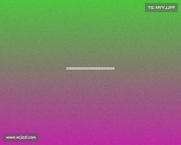 德甲球迷热爱足球背后的故事与激情：从球场到社交网络的球迷文化探索