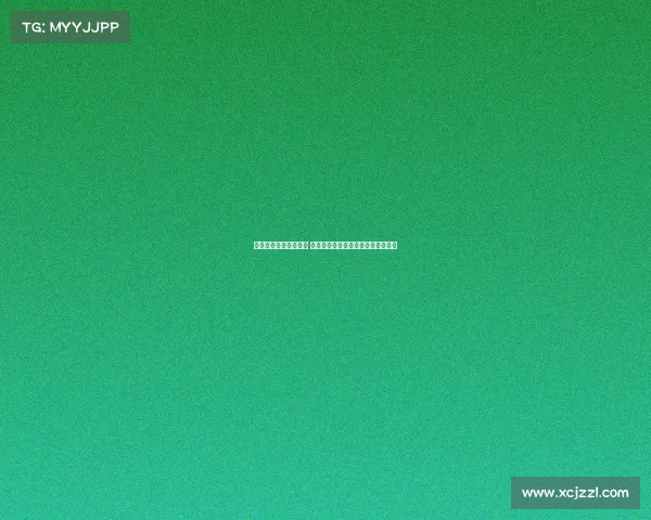 德甲主帅战术布局解析 盘点新赛季教练变动与球队未来走势